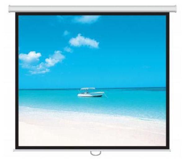 SCREEN BRITE DMR-1818 - 70 INCH DELUXE MOTORIZED